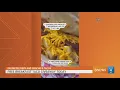 FREE TACOS Favor s Chief Taco Officer giving away breakfast tacos in Corpus Christi Wednesday mor