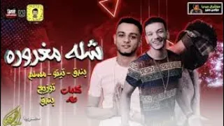 مهرجان شله مغروره بندق تيتو مسلم   كلمات طه توزيع بندق صدى صوت    دندنها