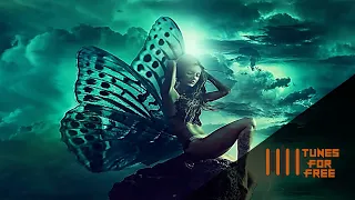 myfreemp3 housemusic free to use music butterfly effect