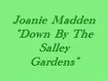 "Down By The Salley Gardens"  (Joanie Madden)