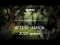Lagu Best of MARION Mix - 2025 Update [1,5 Hour] ChillStep | Chillout
