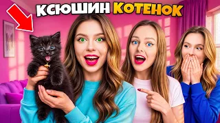 МЫ НАШЛИ БРОШЕННОГО КОТЁНКА! 😭 ЧТО С НИМ БУДЕТ? *Трогательно*