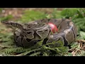 How to Install Python Anaconda in 3 Minutes