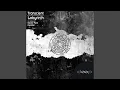 Download Lagu Lara's Theme (Original Mix)