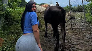 Mi RUTINA en el CAMPO con las VACAS 🐄 