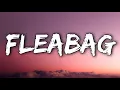 Download Lagu YUNGBLUD - fleabag (Lyrics)
