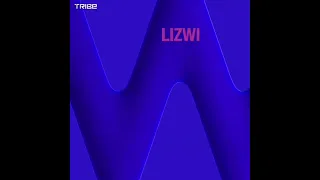lizwi u0026 intruderz sa niniva original mix 