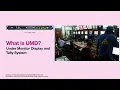 TSL UMD Protocol Simulator CS50P Final Project