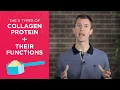 Collagen Protein The 5 Types Their Functions Dr Josh Axe