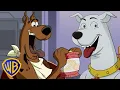 Download Lagu Scooby-Doo Encontra um SUPER Amigo! | Scooby-Doo! em Português 🇧🇷 | @WBKidsBrasil​
