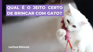 A BRINCADEIRA ESTRUTURADA COM O GATO ENVOLVE 4 ETAPAS