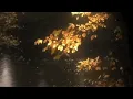 Melt ~ Kehlani (Slowed & Reverb)