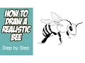 How to Draw a Realistic Bee