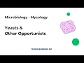 Yeasts and Other Opportunists Mycology ASCP MLS Prep