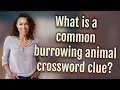 What is a common burrowing animal crossword clue