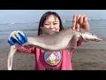 Download Lagu 【English sub】小章赶海，一条大鲨鱼在浅滩被搁浅！小章抓起尾巴就往岸边跑！胆子太大了！