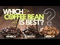 Arabica vs Robusta vs Liberica - Coffee Beans Explained