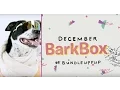 December s BarkBox Is An 80s Ski Extravaganza
