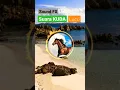 Download Lagu kuda lucu | sound effect