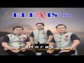 Download Lagu HORAS||TRIO ELEXIS||LAGU BATAK TERBARU||LAGU DANGDUT