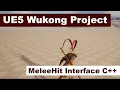 Part 18 Melee Hit Interface C