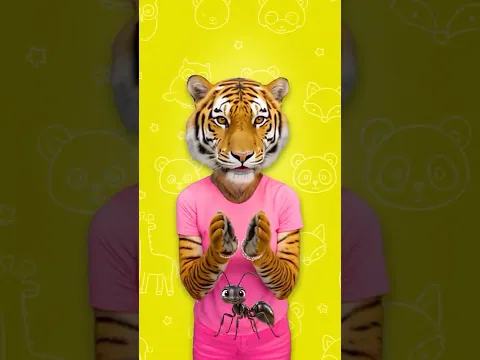 Opposite Words with Animals! 🐯 | Big & Small, Fast & Slow