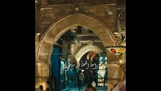 قبليك عدت سنين من عمرى  دول مش محسوبين   دندنها