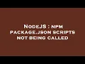NodeJS npm package json scripts not being called