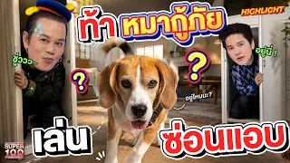 อัจฉริยะสี่ขา ! หมากู้ภัย #บีกิน จมูกดมกลิ่นขั้นเทพ HIGHLIGHT | SUPER100