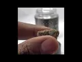 Beyond hello dispensary Guru 0 review