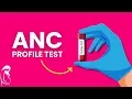 ANC Profile Test in Pregnancy - What is it How it s done