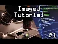 ImageJ Z-stack Batch Processing For Research