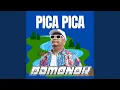 Download Lagu Pica Pica