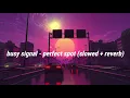 Busy Signal - Perfect Spot (slowed + reverb)