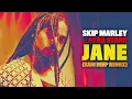 Skip Marley – Jane (Sam Deep Remix) (Visualizer)