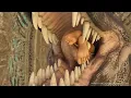 Download Lagu Captured Sorceress is a quick snack for T-Rex by Wormsign2k