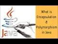Java Encapsulation Polymorphism Tutorial - Part 4
