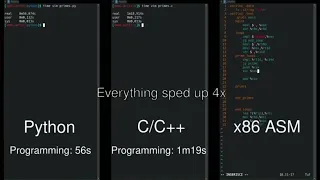 Python vs vs Assembly side-by-side comparison