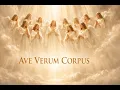Ave Verum Corpus Latin Heavenly Angelic Choir - Sacred Eucharistic Meditation