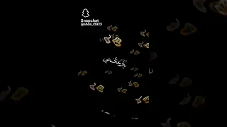 راجل متربي ويخاف ربي 