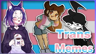 More Affirming TRANS Memes