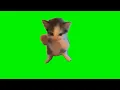 Cat Scuba Dancing Meme Cat Scuba Dancing Green Screen Funny Dancing Cats Compilation