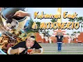 Download Lagu BIKIN NGILER Jalan-Jalan ~ Mojokerto dalam Rasa dan Cerita ‼️ (episode 47)