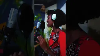 Pingo Is The Title Of The Song A Woman In Love Is Asking Why Things Are Not Going On Well 