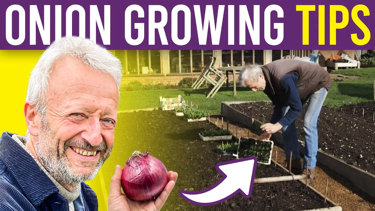 Onion 101: A Beginner's Guide to Growing Onions and Spring Onions from Seed for Large Harvests