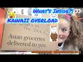 A GIANT Kawaii Mystery Box FULL of Surprises BOKKSU Market Unboxing