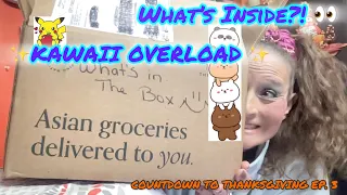 A GIANT Kawaii Mystery Box FULL of Surprises BOKKSU Market Unboxing