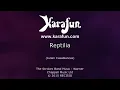 Reptilia - The Strokes | Karaoke Version | KaraFun