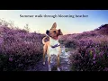 Download Lagu [NO ADS] Video Voor Honden 🐾 Boswandeling met hond in de zomer 🪻 Rustgevende Muziek Voor Honden