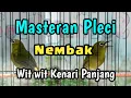 Lagu masteran pleci nembak wit wit kenari panjang